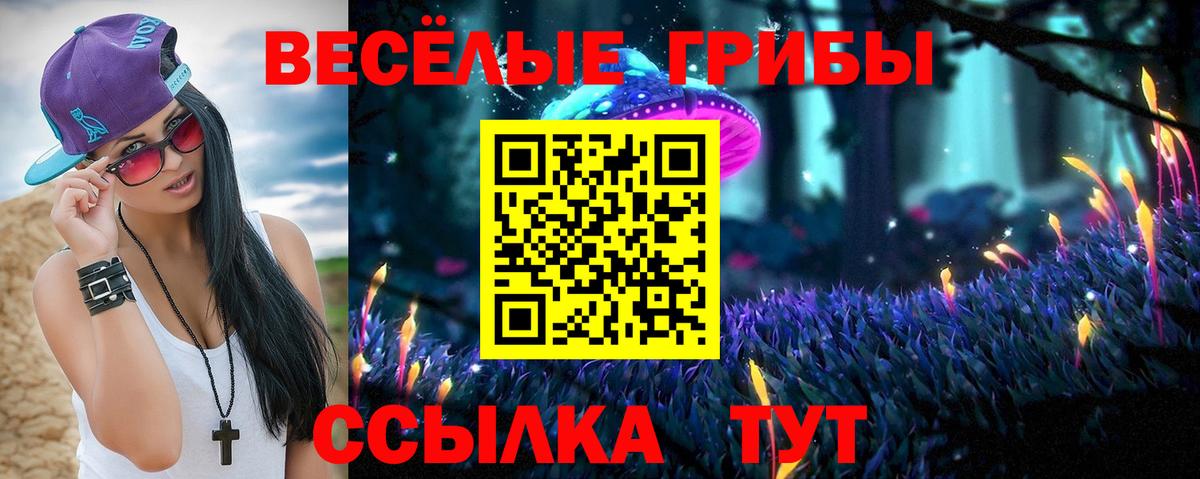 Зеленокумск  закладка  Вход с VPN  Псилоцибиновые грибы Psilocybe 