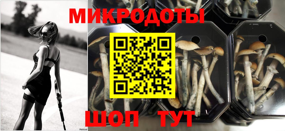 Галлюциногенные грибы мицелий Зеленокумск